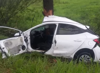 Motorista morre após colisão contra árvore em Sombrio