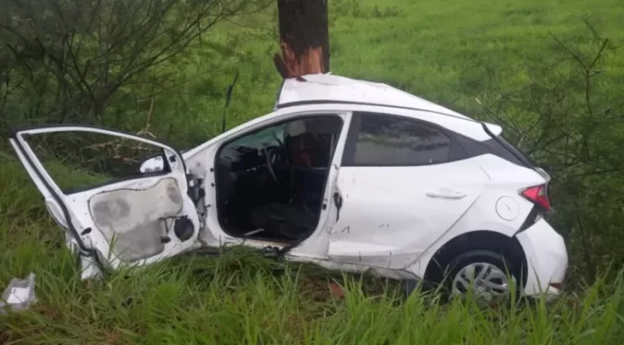 Motorista morre após colisão contra árvore em Sombrio