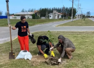 Arborização em Balneário Gaivota une agentes públicos e moradores