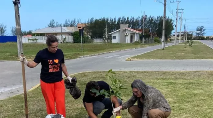 Arborização em Balneário Gaivota une agentes públicos e moradores