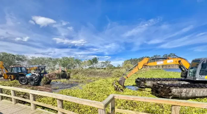 Balneário Gaivota dá início a limpeza da Lagoa de Fora