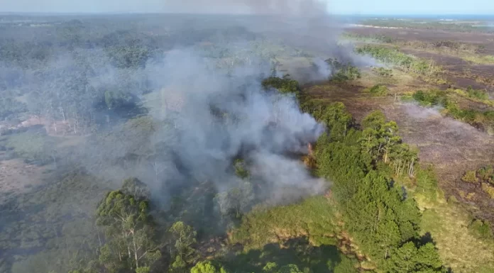 Incêndio em área de mata é controlado em Balneário Gaivota