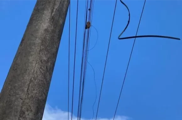 Homem é preso por tentativa de furto de fios de energia elétrica em Araranguá