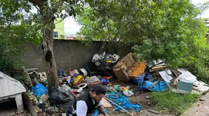 Janeiro Amarelo: Araranguá intensifica ações de conscientização e combate à dengue