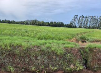 Veículo sai da pista, capota e cai em valo em Jacinto Machado
