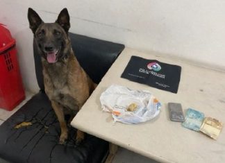 Idoso é preso por tráfico de drogas em Araranguá