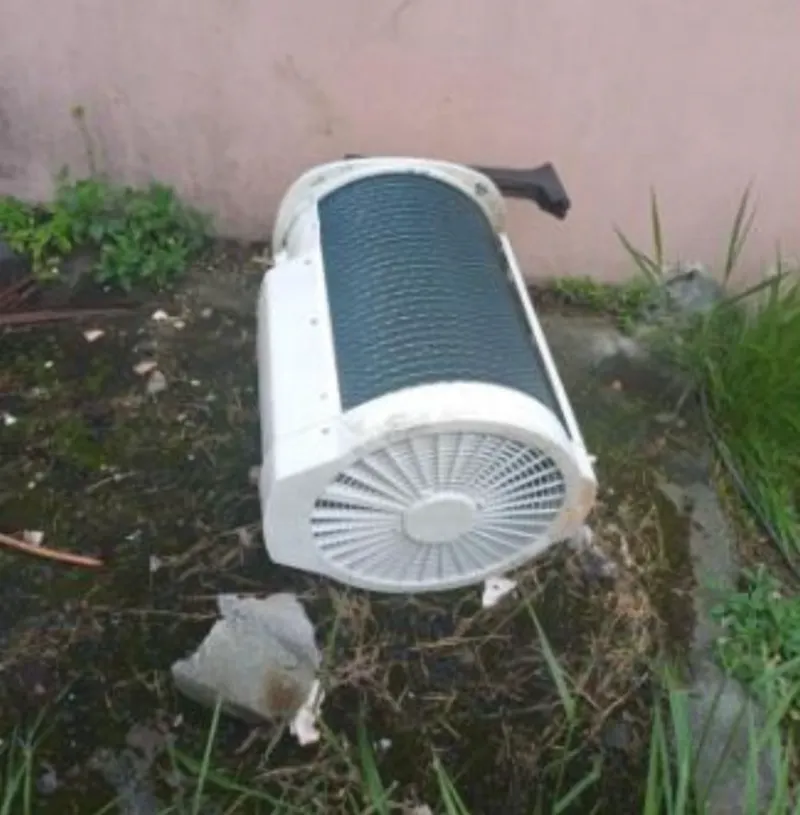 WhatsApp Image 2026-01-19 at 11.21.39