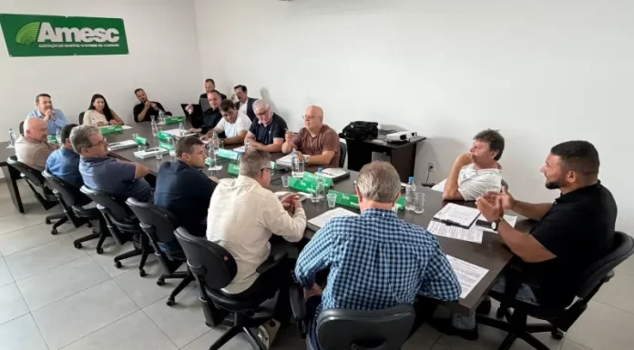 Prefeito de São João do Sul é eleito presidente da AMESC