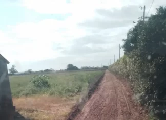 Agricultura intensifica melhoria nas estradas rurais de Araranguá