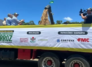 Cooperja prestigia 8ª Abertura da colheita do arroz de SC