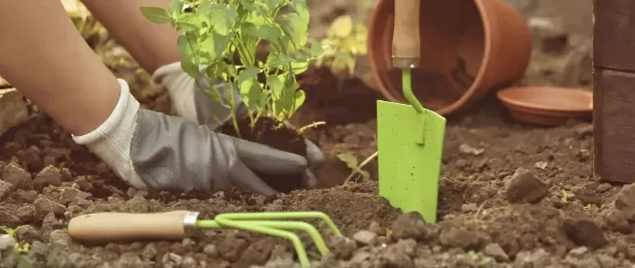 Sombrio tem curso gratuito de jardinagem em parceria com o Senar
