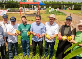 Campo Agroacelerador da Cooperja bate recorde e recebe mais de 7 mil visitantes
