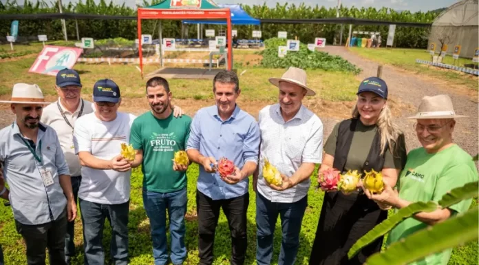 Campo Agroacelerador da Cooperja bate recorde e recebe mais de 7 mil visitantes