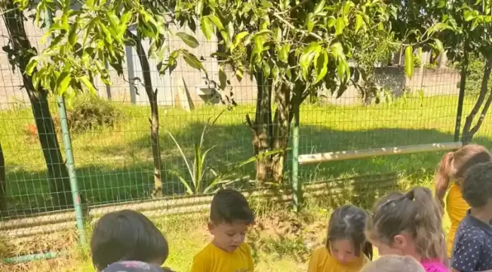 Sombrio: com o encerramento da colônia de férias Rede Municipal de Ensino inicia o ano letivo com novidade