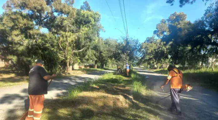 Araranguá em parceria com o Presídio Regional realiza manutenção e conservação dos espaços públicos