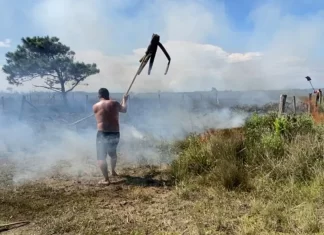 Incêndio assusta moradores em Lagoinha, mas situação é controlada.