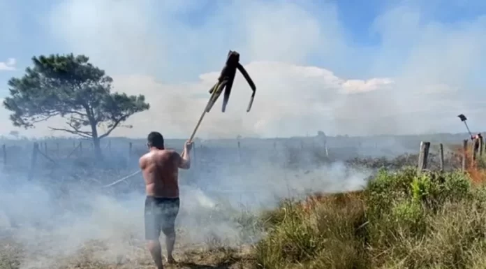 Incêndio assusta moradores em Lagoinha, mas situação é controlada.