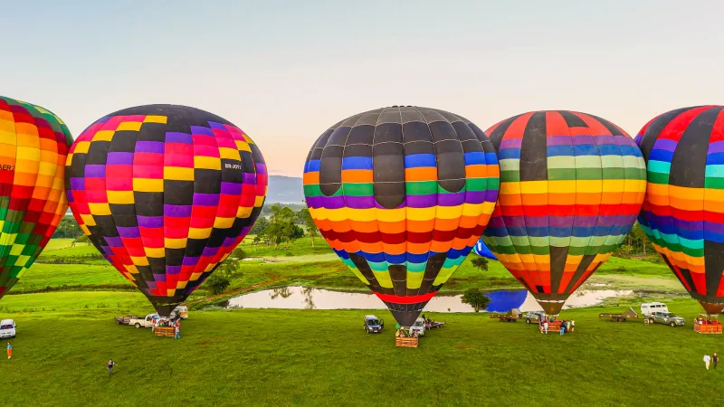 WhatsApp Image 2026-02-19 at 09.05.57