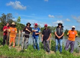 Fama realiza plantio nas margens do rio Araranguá