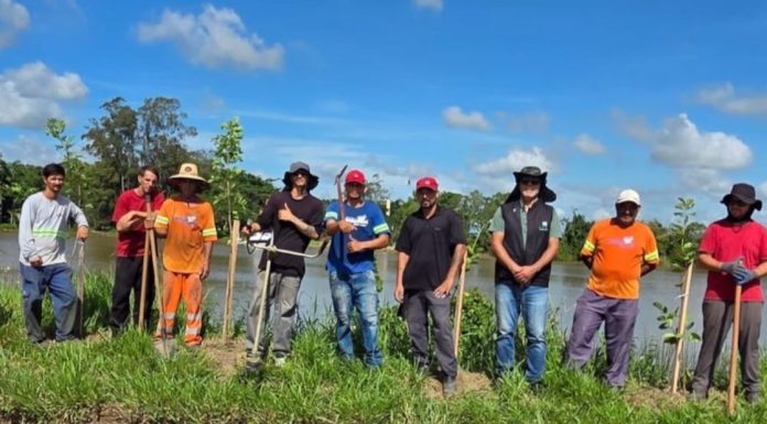 Fama realiza plantio nas margens do rio Araranguá