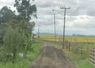 Agricultura segue com serviços no interior de Araranguá