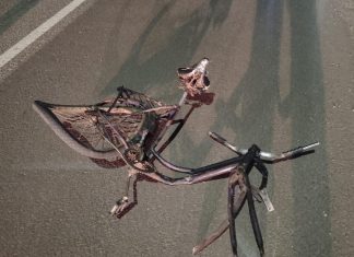 Ciclista morre após atropelamento na BR-101, em Sombrio
