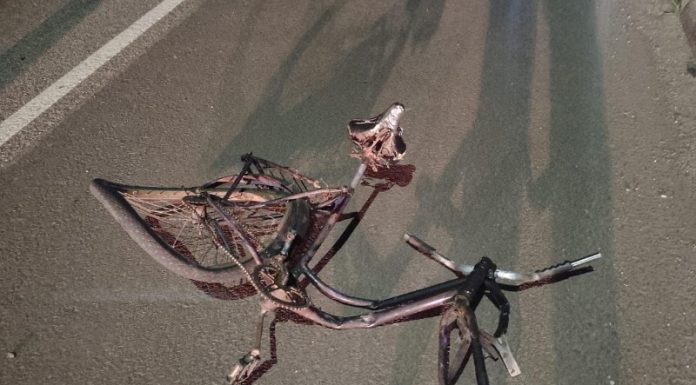 Ciclista morre após atropelamento na BR-101, em Sombrio