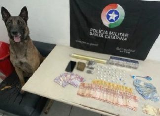 Mercearia é alvo de operação policial por tráfico de drogas em Araranguá