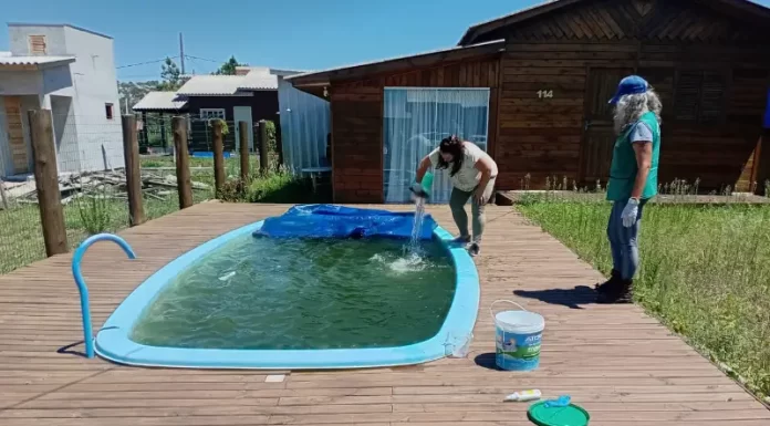 Vigilância vistoria mais de 1.100 imóveis para conter o avanço da Dengue em Balneário Gaivota