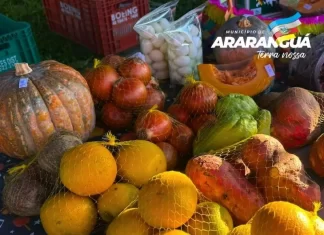 Araranguá: nesta semana, a Feira da Agricultura Familiar será realizada na quinta-feira