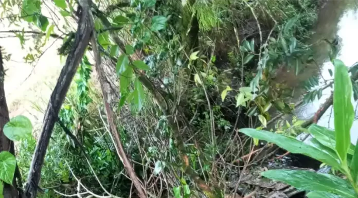 Mulher de 53 anos morre após capotamento em Jacinto Machado