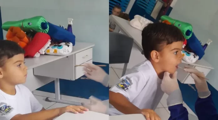 Ação de saúde bucal mobiliza unidades de saúde e escolas em Araranguá