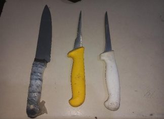 Quatro homens são presos por tentativa de furto de gado em Araranguá