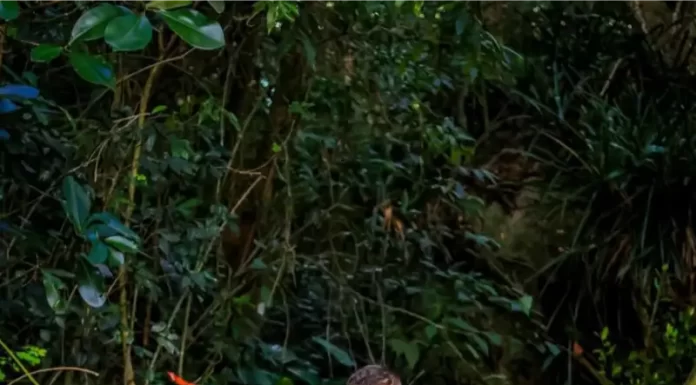 Polícia Militar de Santa Catarina se destaca na Volta à Ilha 2026 com conquista inédita e história de superação