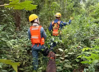 Homem desaparecido é encontrado morto após buscas em Nova Veneza