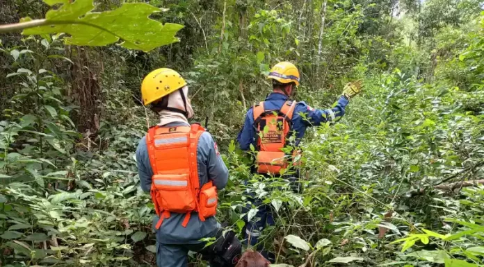 Homem desaparecido é encontrado morto após buscas em Nova Veneza
