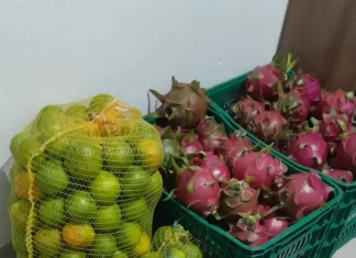 Balneário Gaivota reafirma compromisso com a segurança alimentar e o apoio ao campo