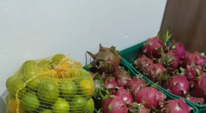 Balneário Gaivota reafirma compromisso com a segurança alimentar e o apoio ao campo