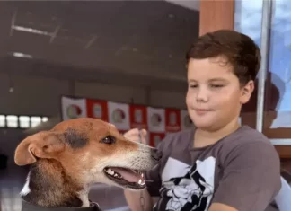 Sombrio realiza segundo mutirão de castração e microchipagem