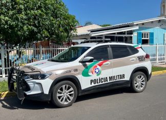 Gato morre após suspeita de envenenamento em Sombrio