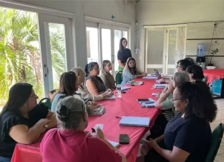 Secretaria de Educação de Sombrio realiza reuniões de planejamento e formação com equipes da rede municipal