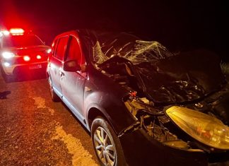 Colisão violenta entre carro e cavalo destrói veículo e mata animal em Turvo