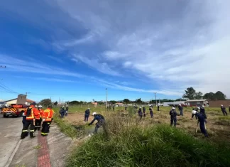 Bombeiros realizam curso de combate a incêndios florestais em Sombrio