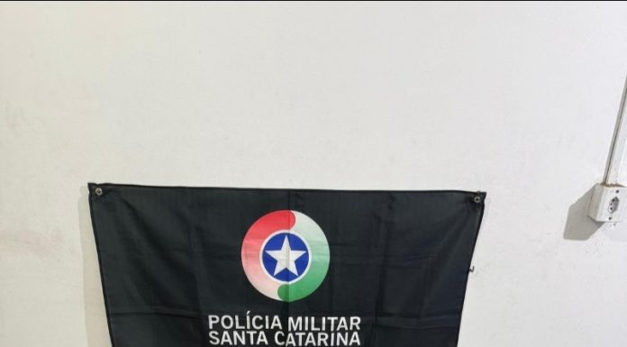 Operação Choque de Ordem apreende mais de 46 quilos de drogas e 770 comprimidos de ecstasy em Araranguá
