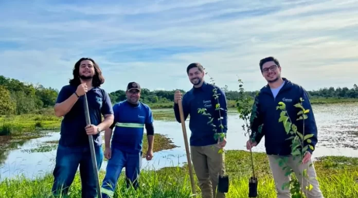 Sombrio Saneamento promove ações de conscientização e preservação durante a Semana do Meio Ambiente