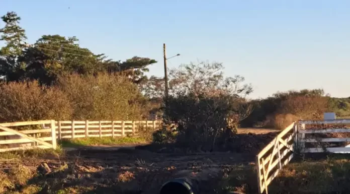Defesa Civil e Samae realizam melhorias em drenagem em Araranguá