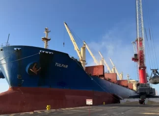 Exportação de arroz reforça compromisso da Cooperja com o produtor rural