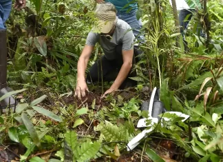 Semana do Meio Ambiente em Balneário Gaivota