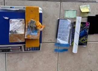 DIC de Araranguá prende mulher por tráfico durante desdobramento da Operação Tela Oculta