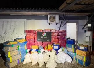 PM encontra depósito com cerca de 1,7 tonelada de maconha em Maracajá